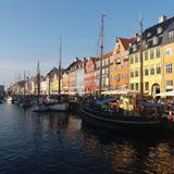 Jela Acimovic's picture