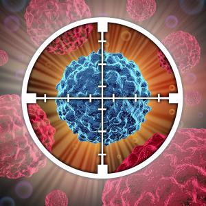 SteffiK501_20472's picture