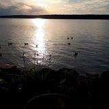Sarah Piercey's picture