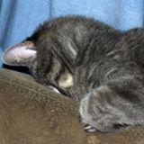 Sandra Gilligan's picture