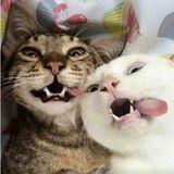 Javi Alasne Cabezas's picture