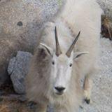 Greg Wellman's picture