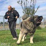 Henry Tunero's picture