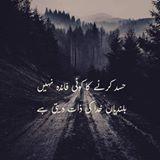 Maria Ilyas's picture