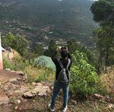 Waleed Shahid's picture