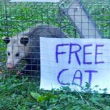 Anne Sawyer's picture