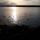Sarah Piercey's picture