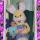 Denise Graham's picture