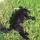 Dasha Axelsson's picture