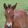 Jeanette Weisgerber's picture
