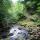 Anne Estee's picture